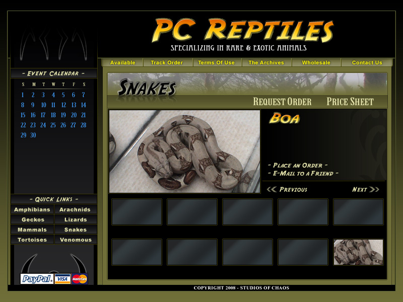 Reptile Using Computer PC Reptiles by Elemental84 on DeviantArt