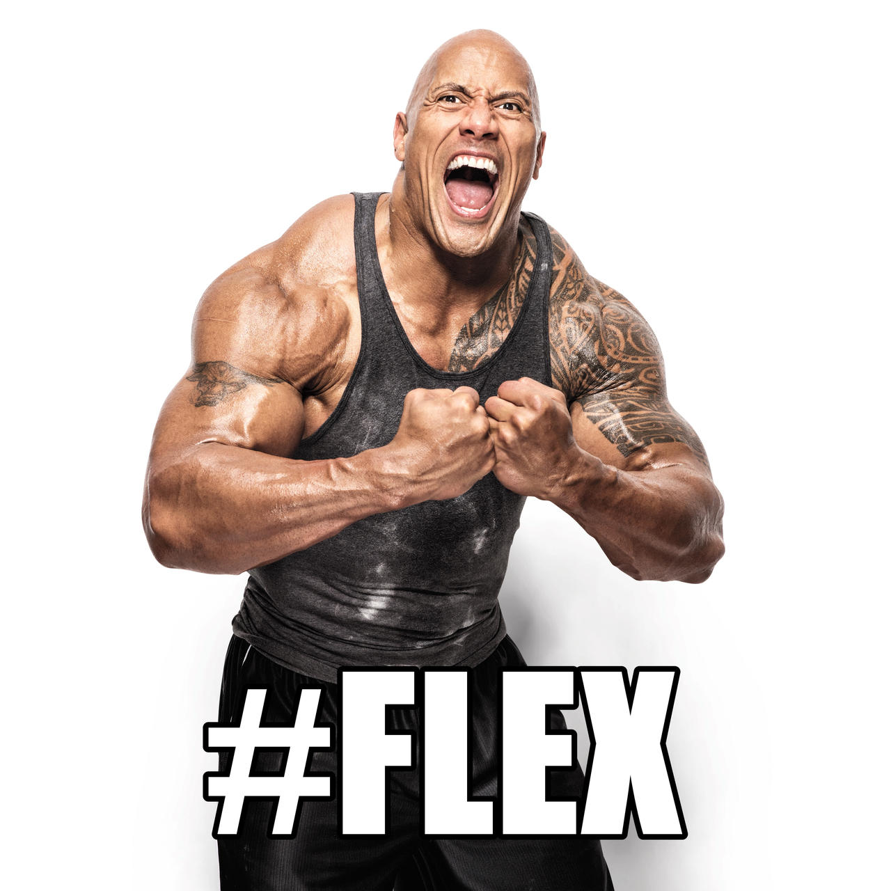 Flex Muscles Memes Flex Memes & GIFs Imgflip