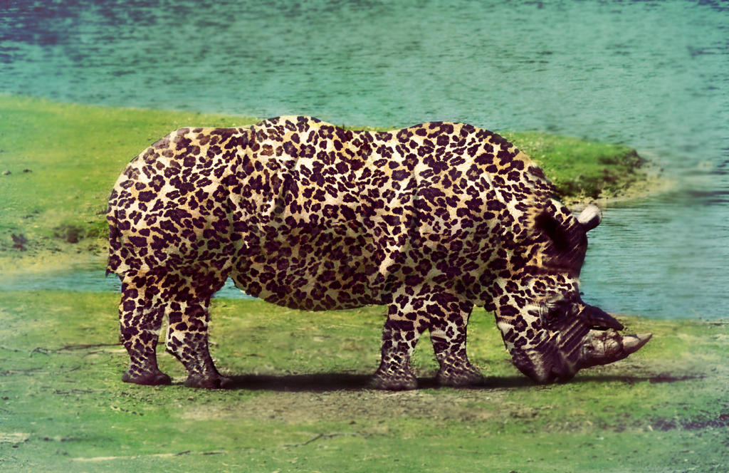 Rhinopard