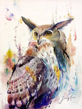 Watercolor: Owl