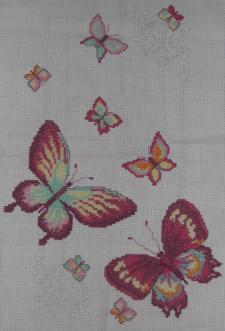 Butterflies