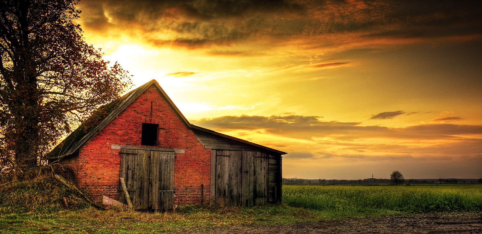 Old Barn #1