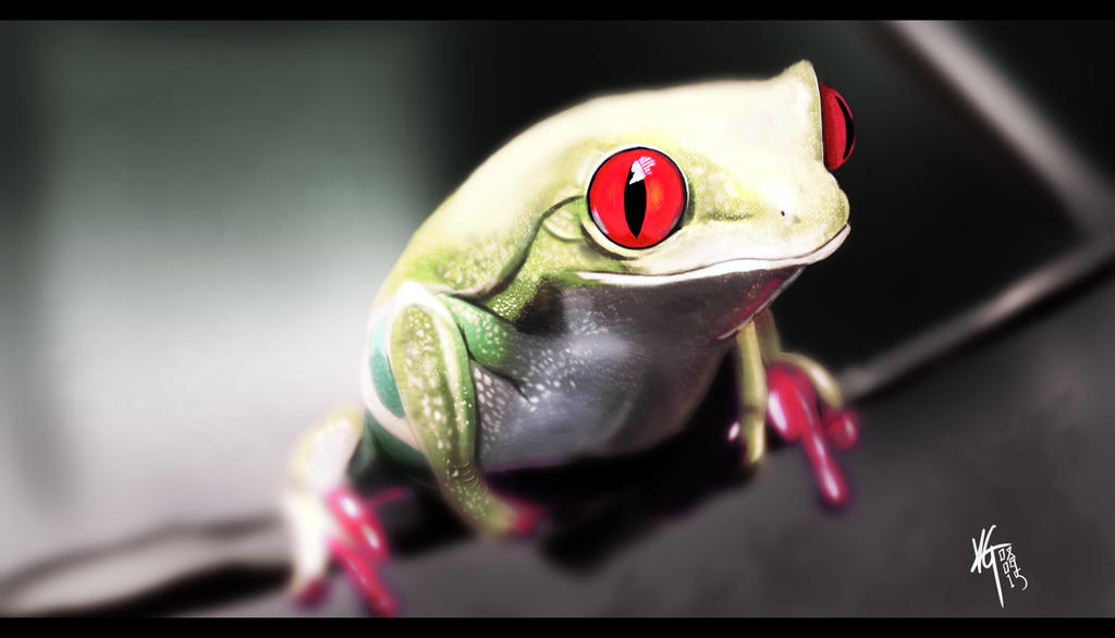 Green tree frog study by KxG-WitcheR on DeviantArt