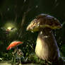 My Neighbor Boletus