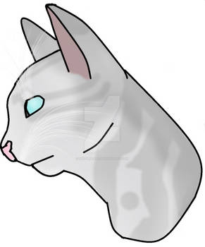 Jayfeather