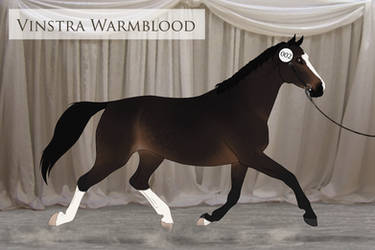 Vinstra Warmblood - 002