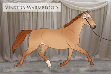 Vinstra Warmblood - 079