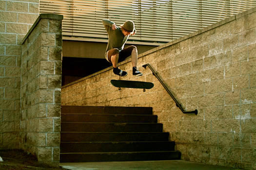 Mike Moll Switch Frontside Fli