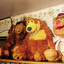 Alf Bear And Fozzie