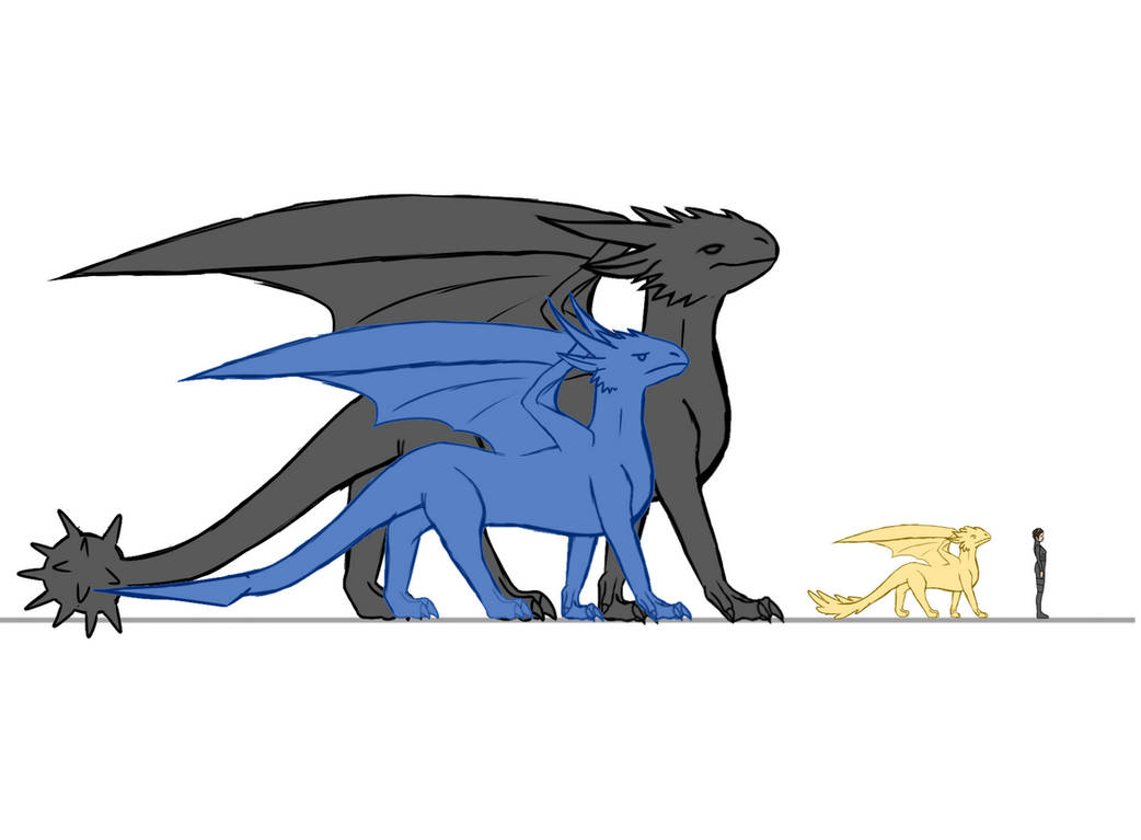 4th Wing Sizing Guide by nicki58744 on DeviantArt