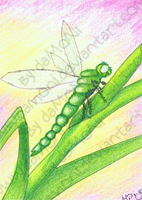 Swap-bot Dragonfly ATC 1