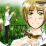 Hetalia [Birds]