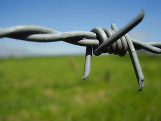 Bit of Barbed Wire