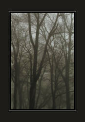 One Foggy Morning II