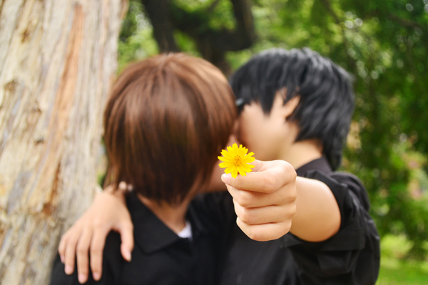 useing the Chrysanthemum to hide the kiss