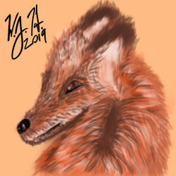 Red-fox-freehand-painting