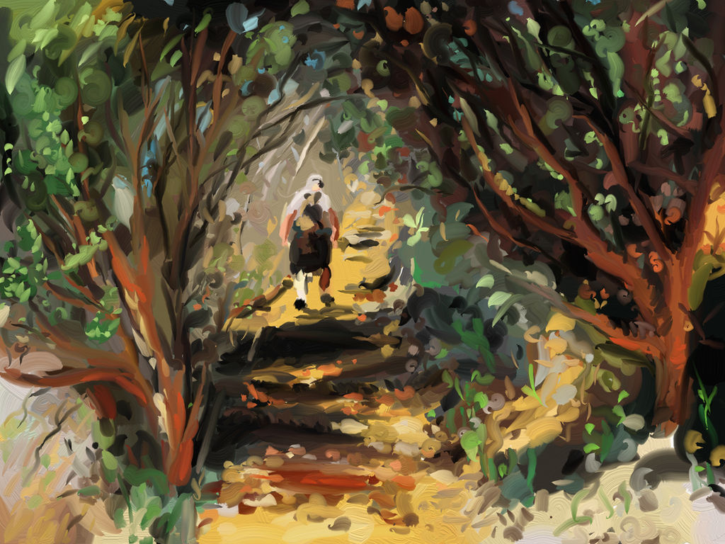 Cecilia Forest Trail by WildCat-ZA