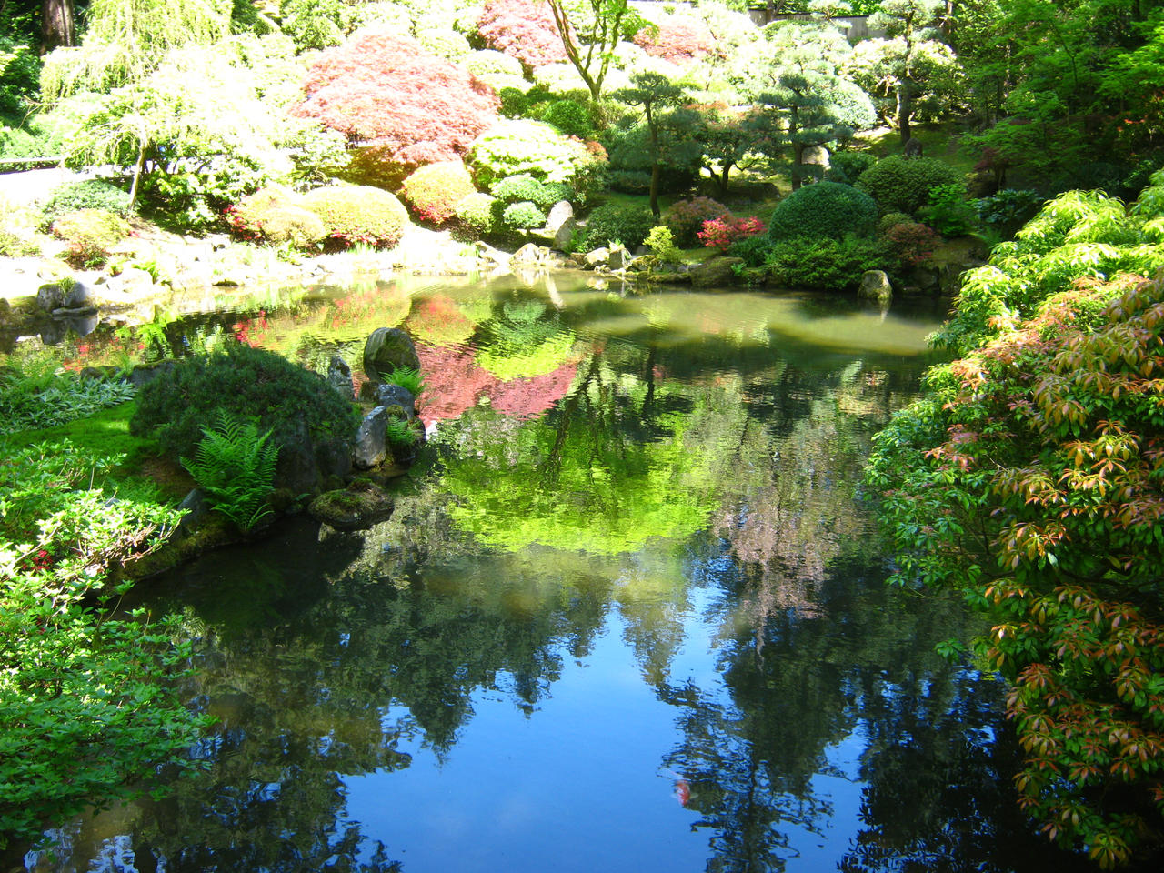 Japanese Garden at its Fullest.