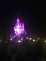 PURPLE MAGIC KINGDOM!!