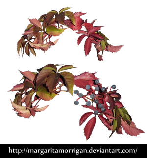 autumn wreath by Margaritamorrigan