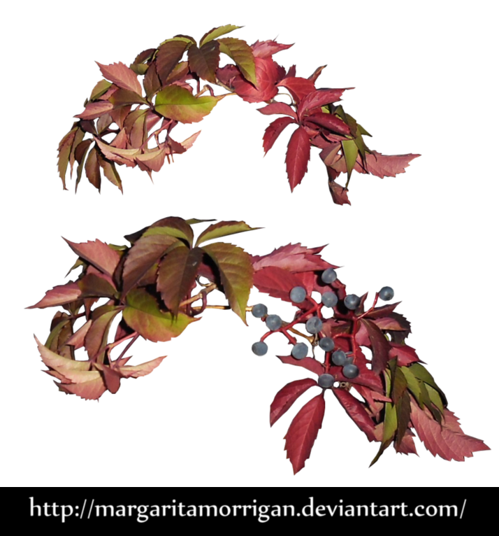 autumn wreath by Margaritamorrigan