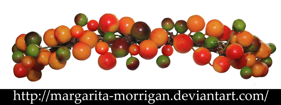 berry tiara by margarita-morrigan