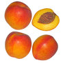 nectarine fruit