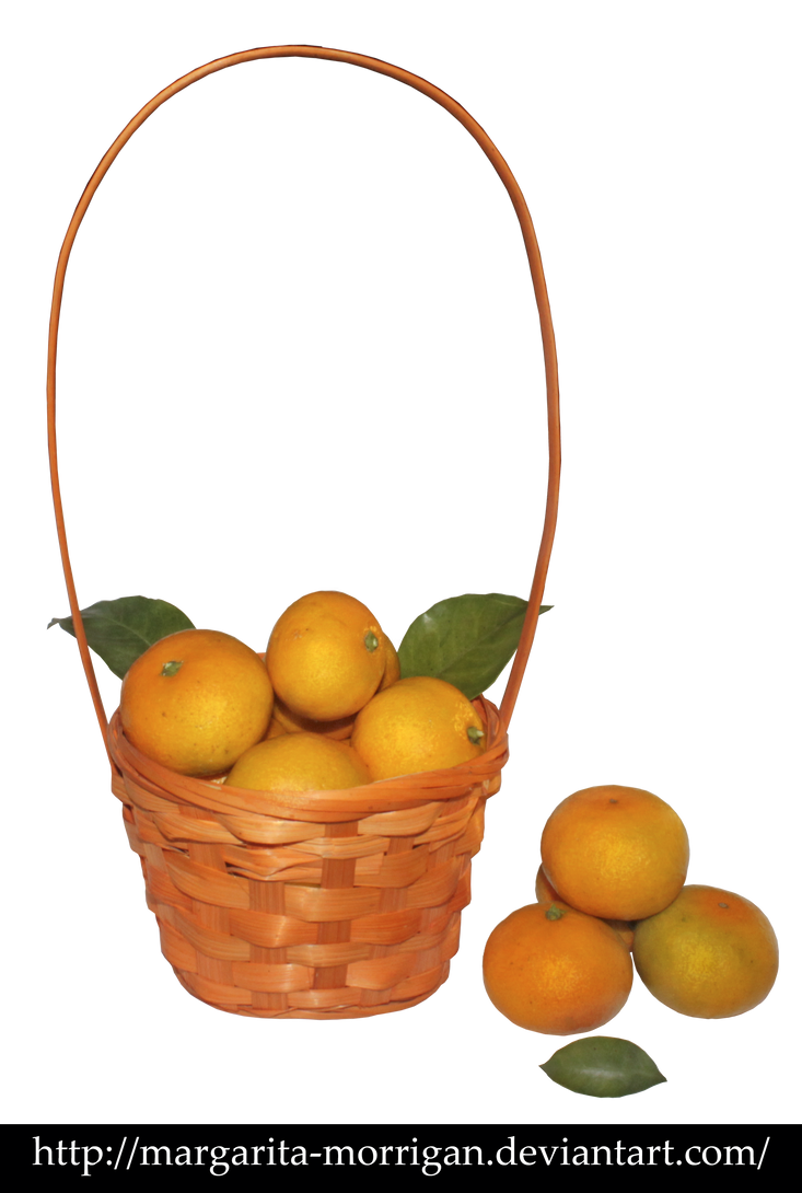 Fruit basket by margarita-morrigan
