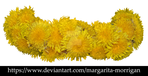 Wreath of dandelions