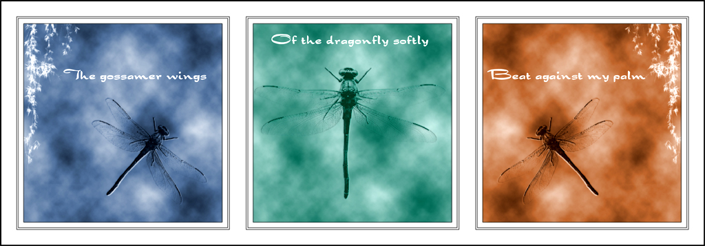 Dragonfly