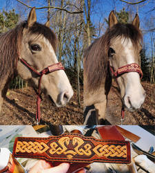 Celtic Leather Noseband