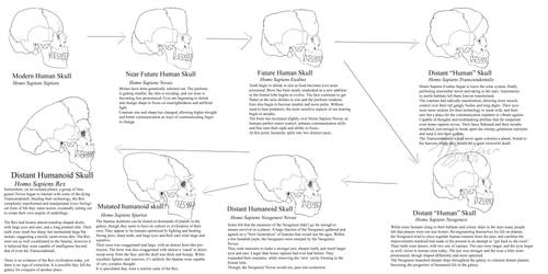 Future Human Skulls