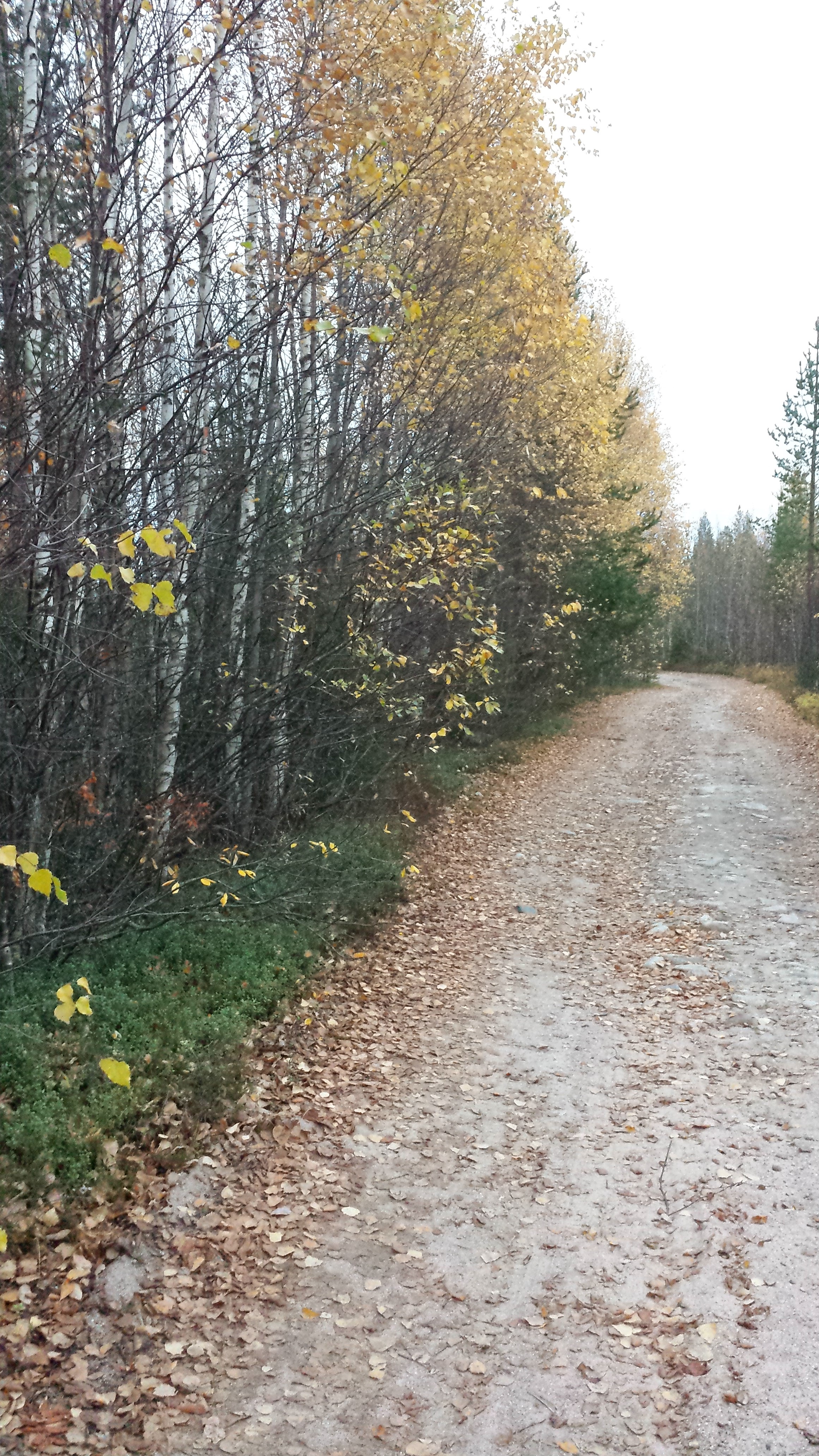 Small road to Santavaara