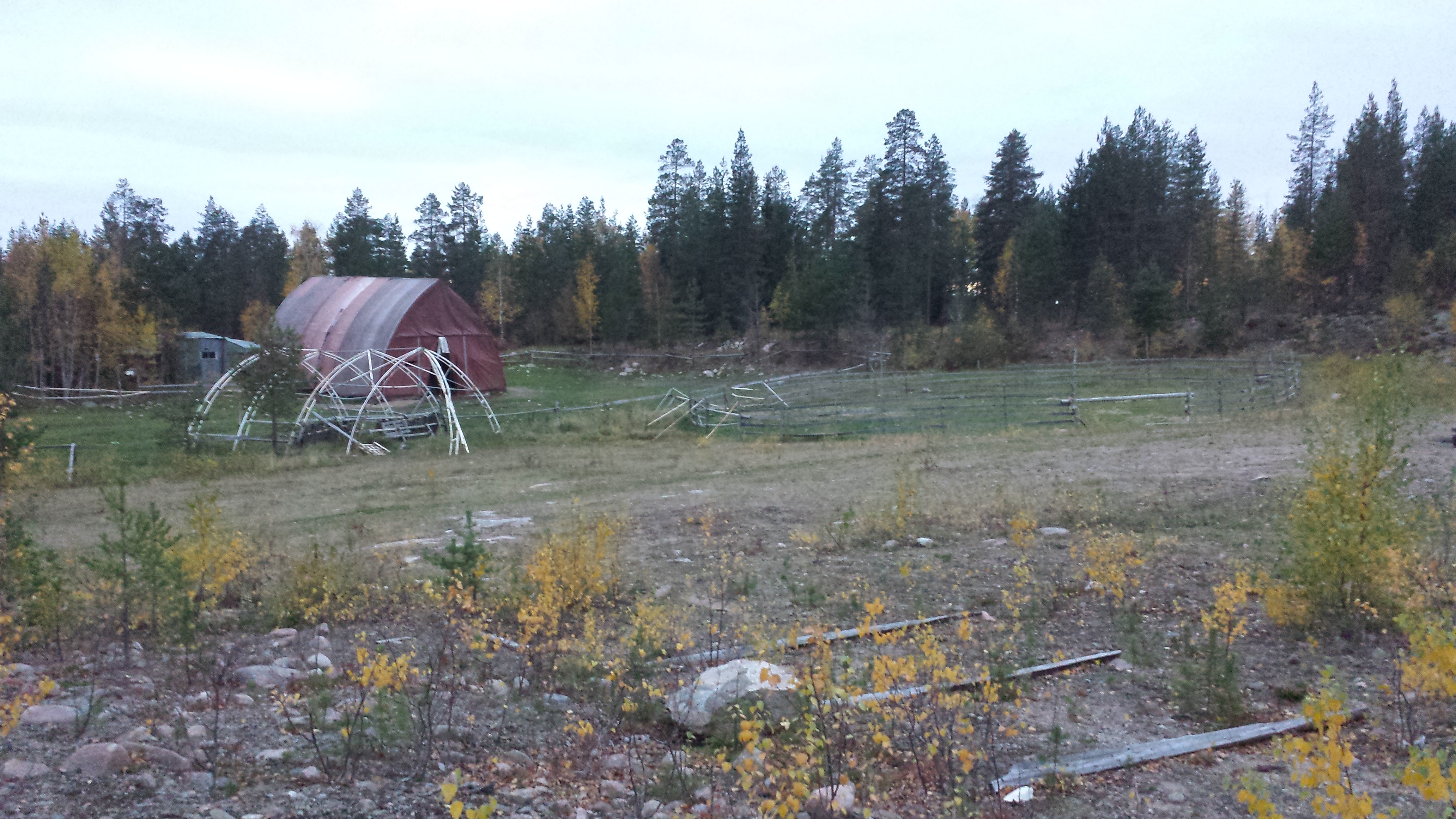 Reindeer Fence and a old big ass tent.