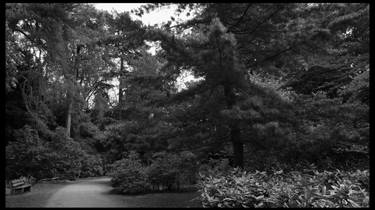 Westonbirt 47