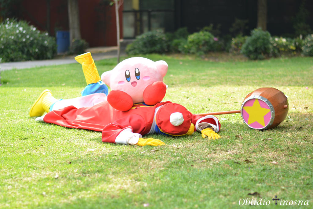 King Dedede Robe King Dedede Cosplay 4 by Kirbmaster on DeviantArt