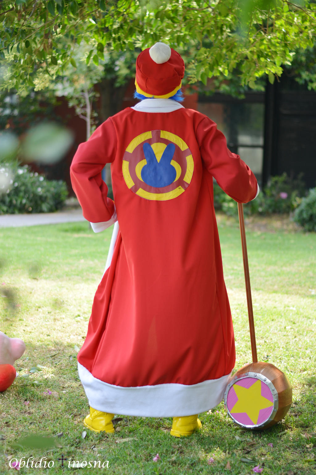 King Dedede Robe King Dedede Cosplay 2 by Kirbmaster on DeviantArt