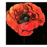 Remembrance