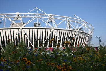 Urban Vs Rural at London 2012 Olympic Stadium