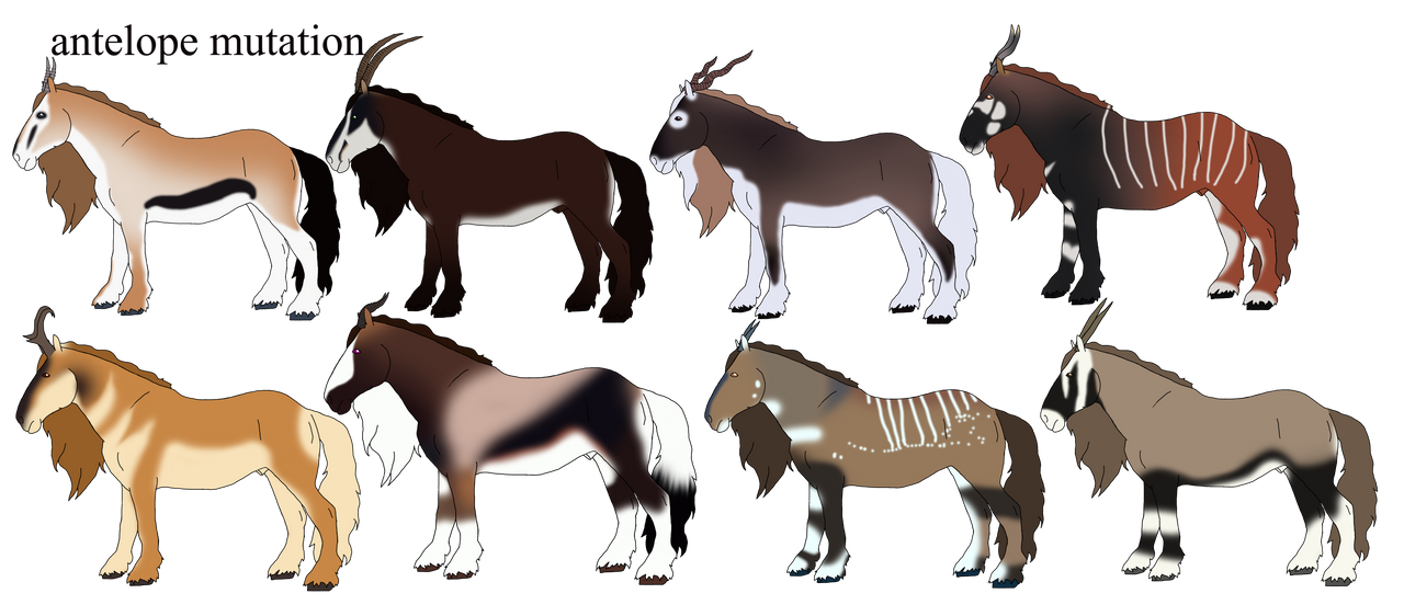 Horse Mutations on wild-spirit-equine - DeviantArt
