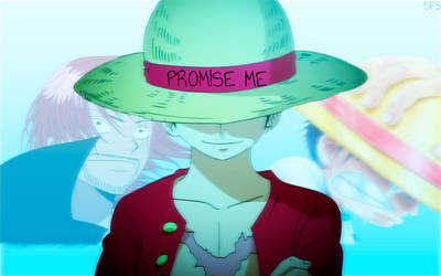 Promise Me Luffy by ShintaruSF