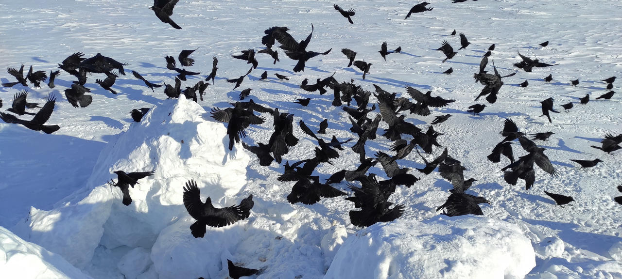 Warriors of Kutkh by shatun1 on DeviantArt