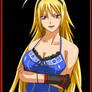 Ikki Tousen: Chousen 2