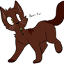 Warrior Cats Challange- 1 - Acorn Fur