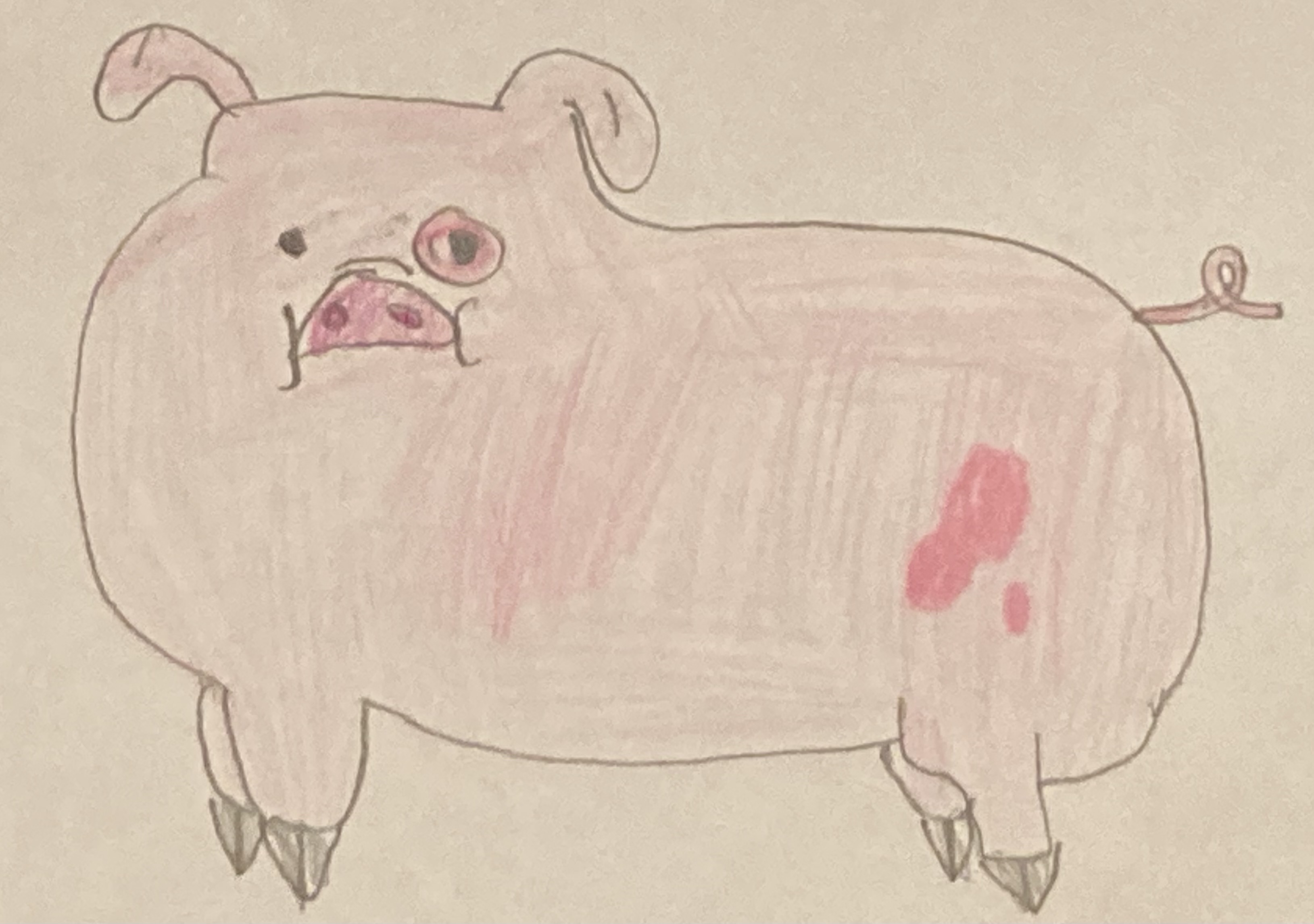 Chinese New Year Day 12: Pig by SkylanderGuy2005 on DeviantArt Chinese New Year Day 12: Pig by SkylanderGuy2005 on DeviantArt