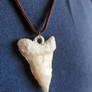 Shark tooth necklace