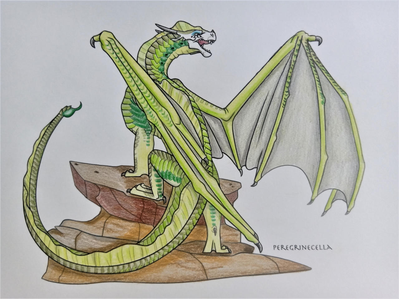 Chrysocolla Wof OC (2)