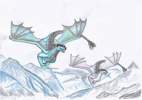 Icewings in flight