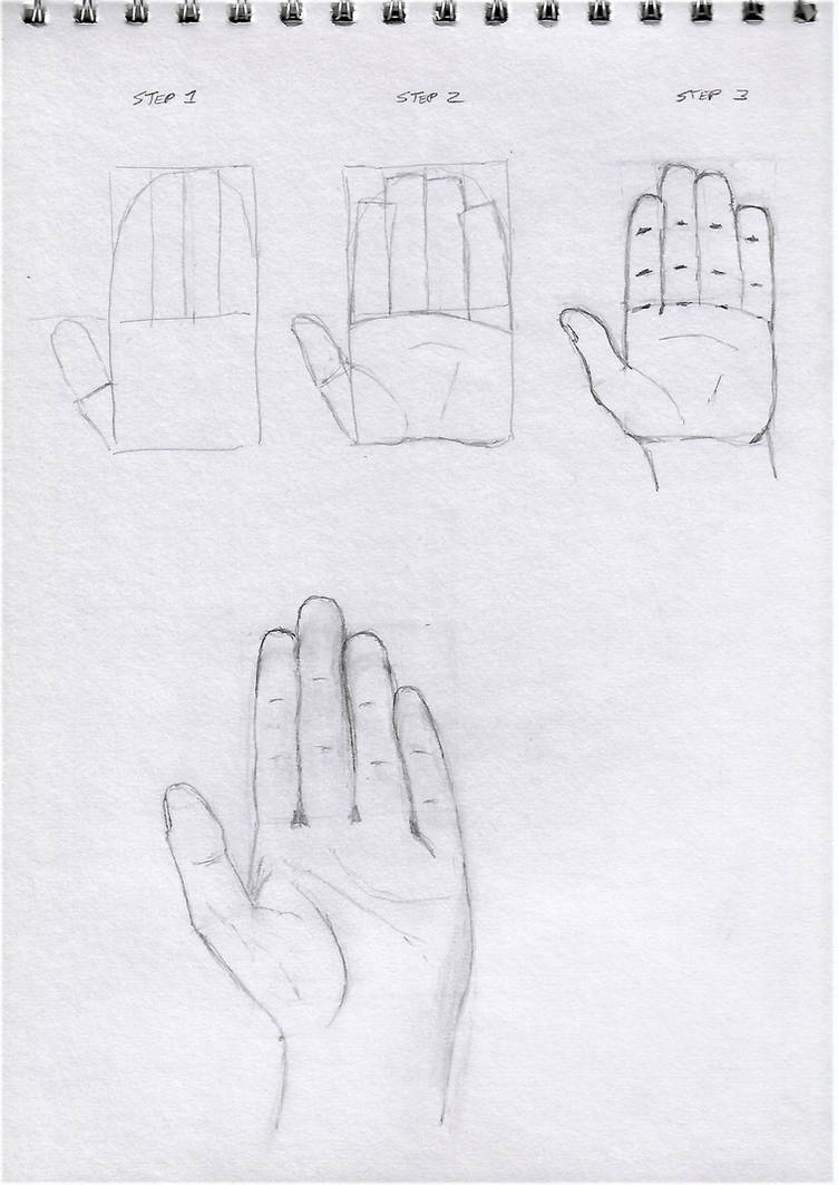 Hand Study Drawing Tutorial Hand study by SabretoothedWolf on DeviantArt