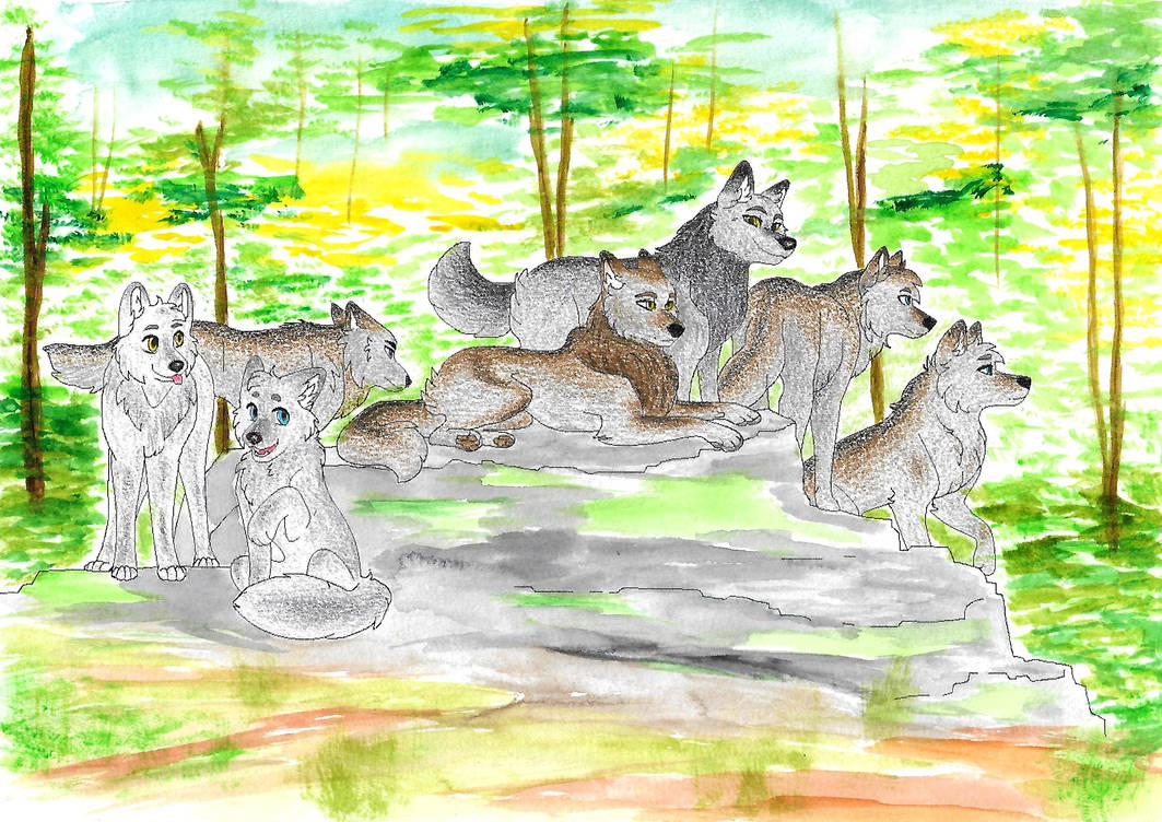 Cd Rudd Deviantart Wolfpack Wolf pack 2 by SabretoothedWolf on DeviantArt